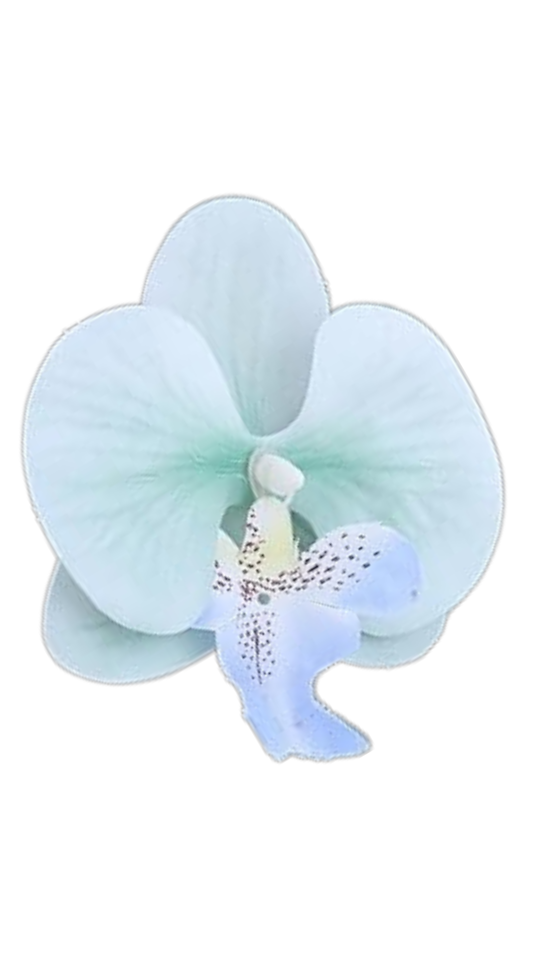 Orchid Flower Earring - Sea Teal