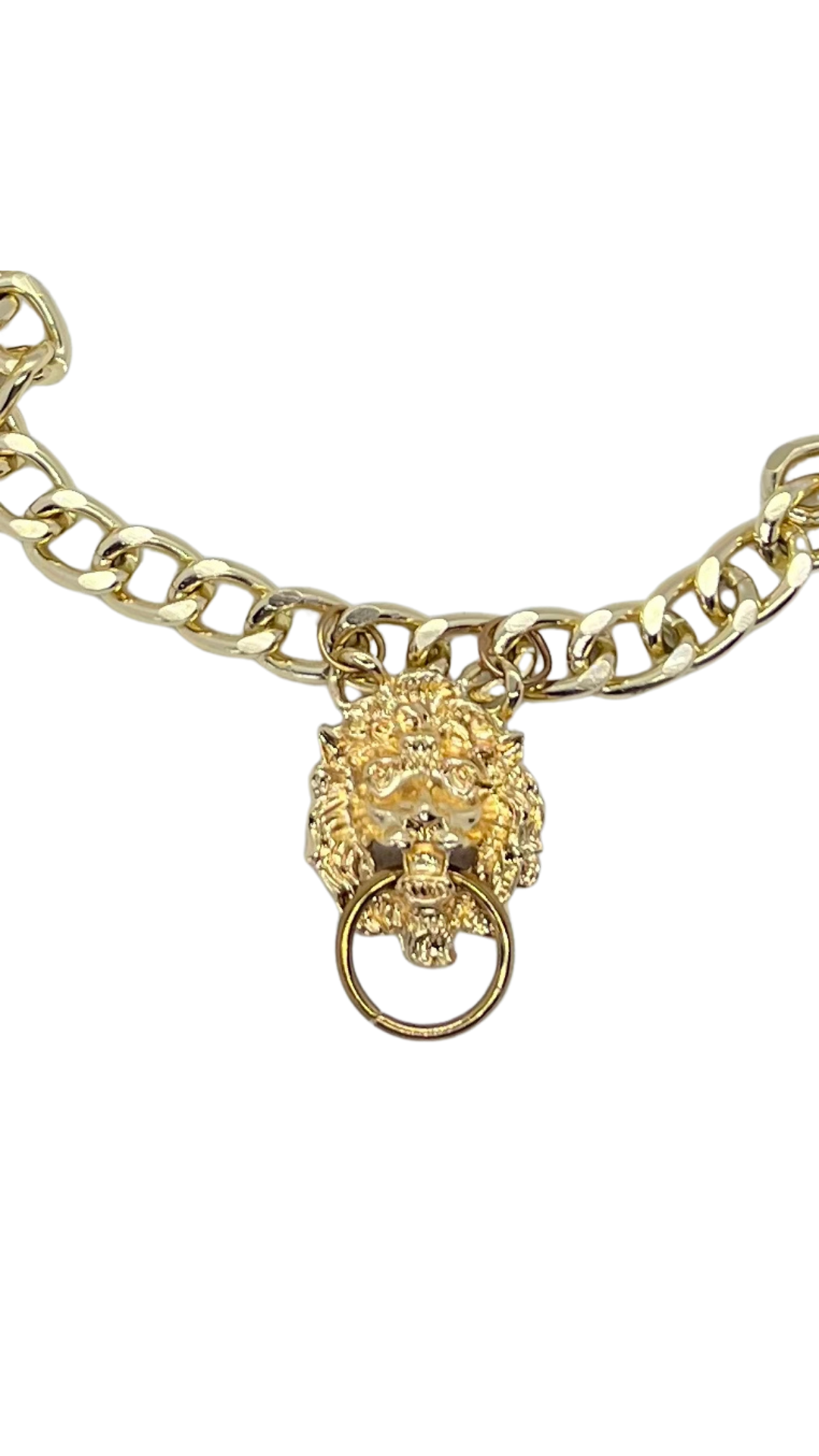 Golden Lion Chocker