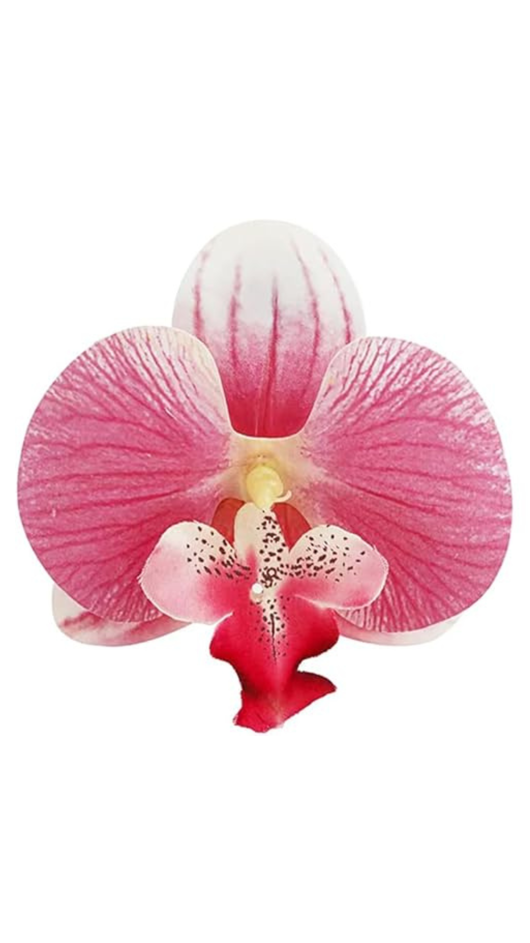 Orchid Flower Earring - Soft Pink