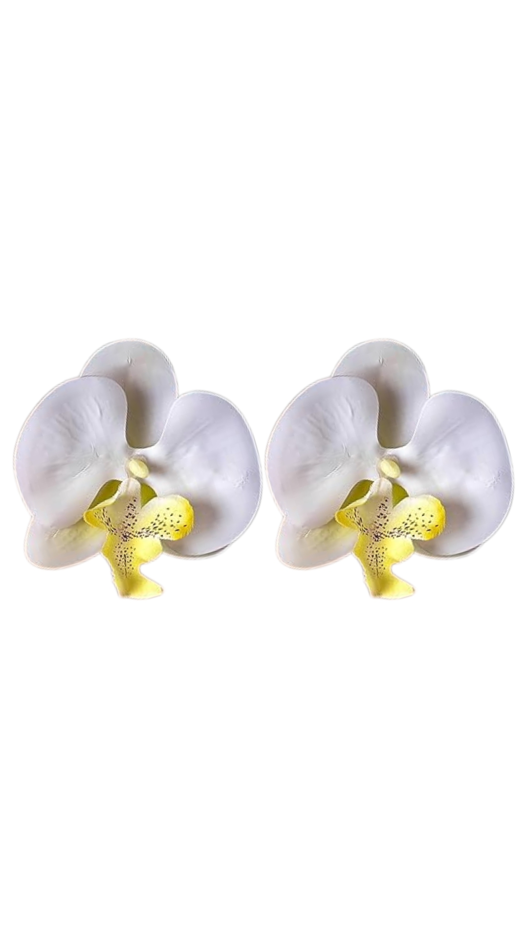 Orchid Flower Earring - Yellow Hint