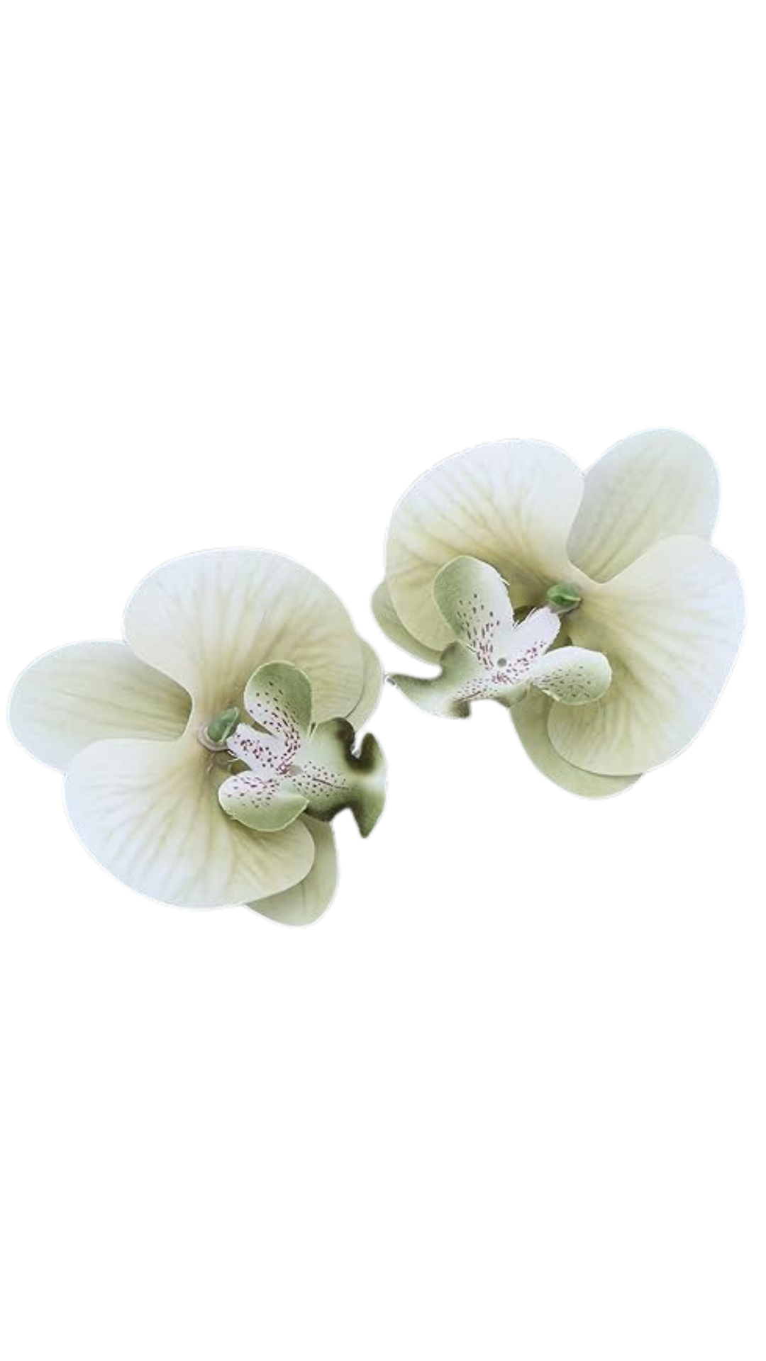 Orchid Flower Earring - Sage