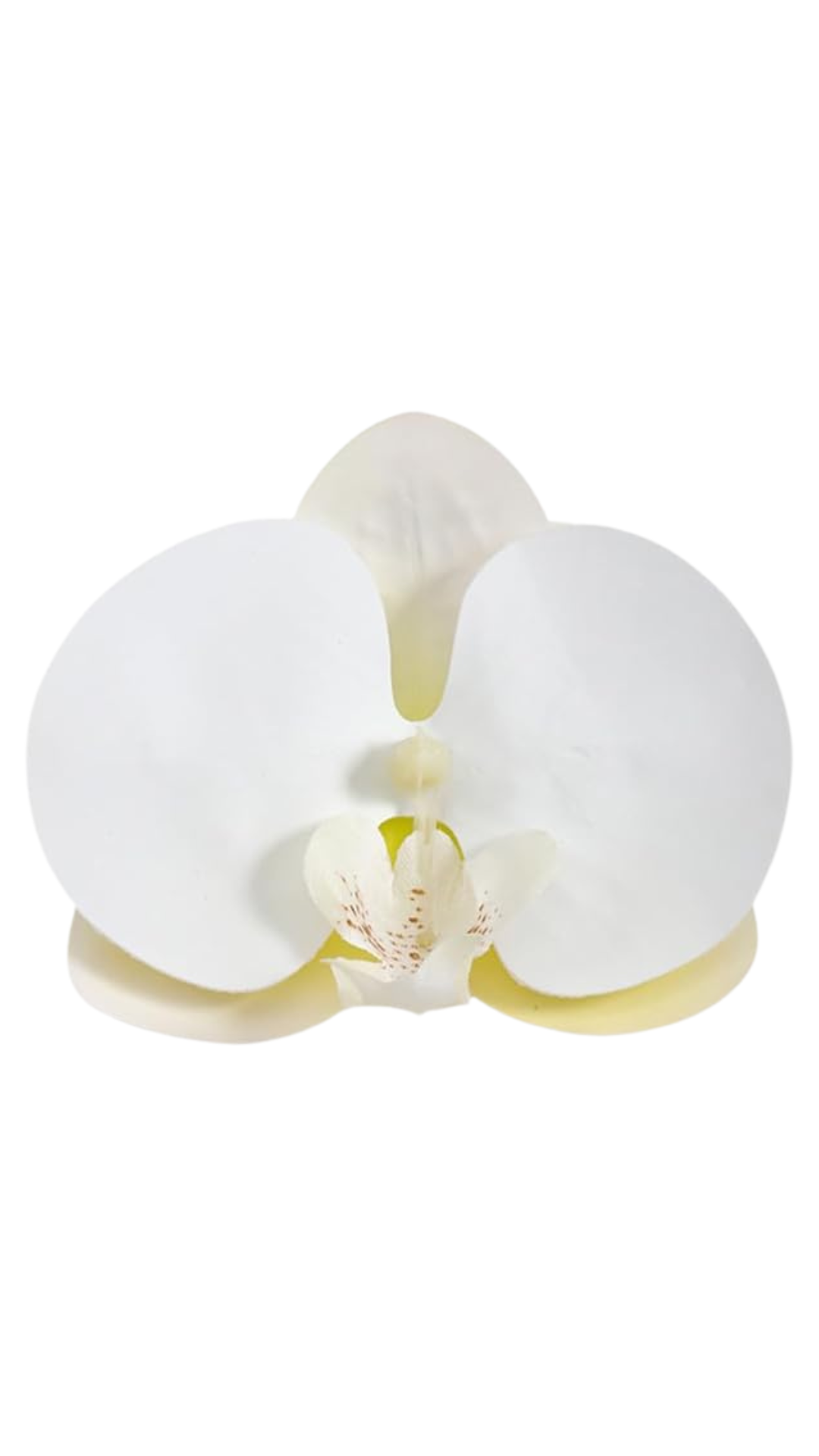 Orchid Flower Earring - Pearl White