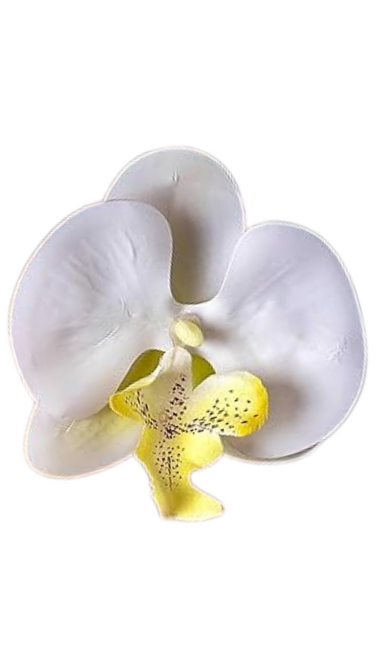 Orchid Flower Earring - Yellow Hint